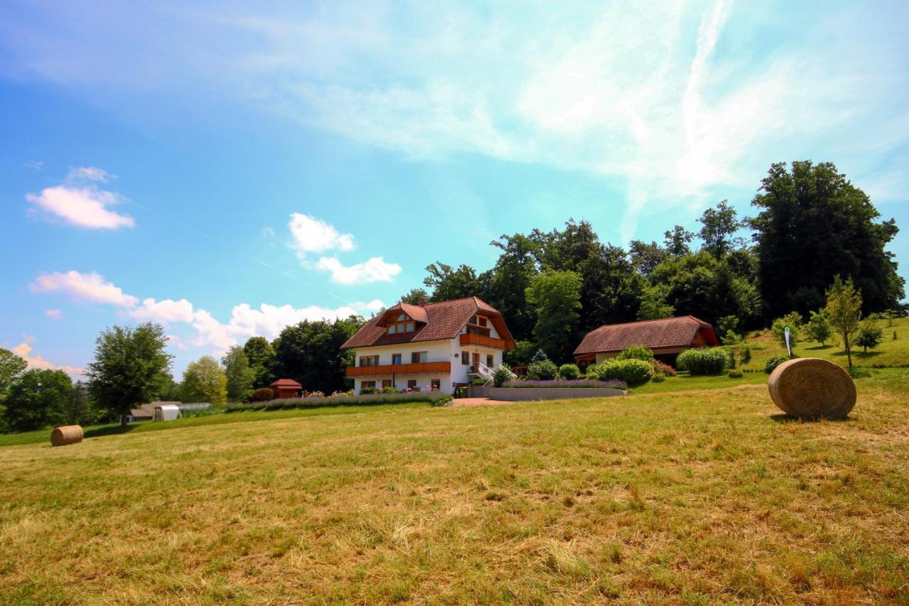 Villa Katarina Mokronog Екстериор снимка