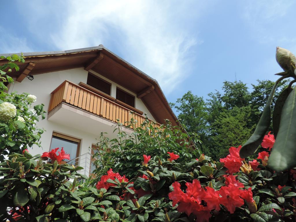Villa Katarina Mokronog Екстериор снимка