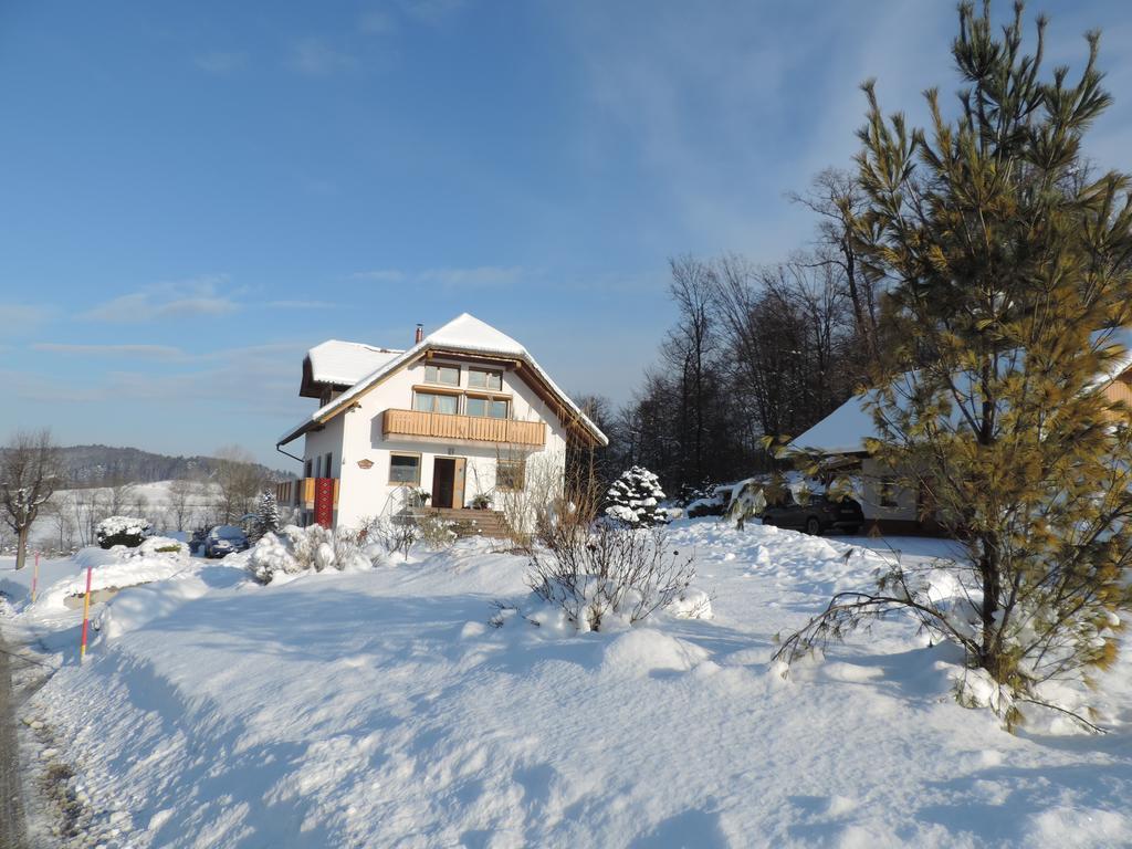 Villa Katarina Mokronog Екстериор снимка